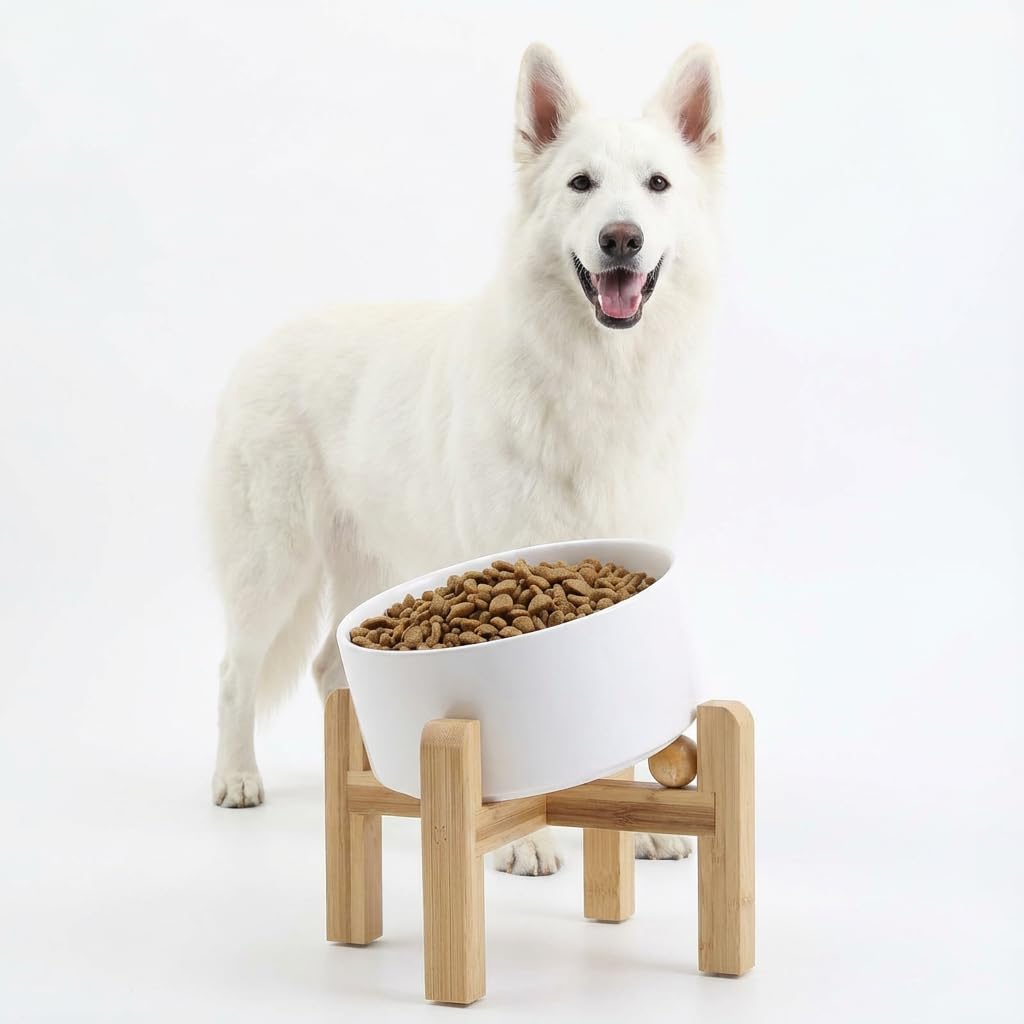 Elevated Ceramic Pet Bowl with Angled Wooden Stand