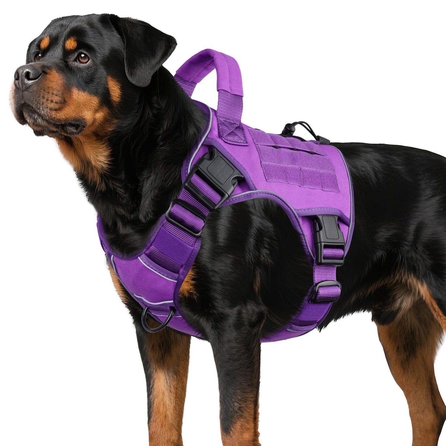 Heavy Duty Tactical Dog Harness with Handle