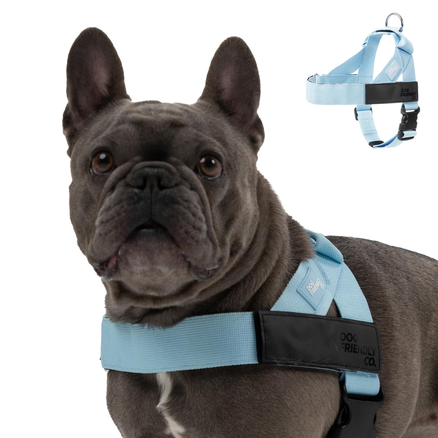 Adjustable Everyday Dog Harness for Walking