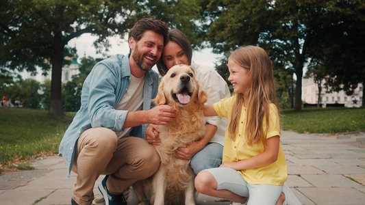 How Better Pet Essentials Make Everyday Family Moments Feel Easier
