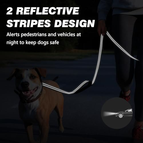 Heavy Duty Reflective Dog Leash with Dual Handles