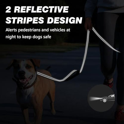 Heavy Duty Reflective Dog Leash with Dual Handles
