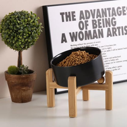Elevated Ceramic Pet Bowl with Angled Wooden Stand