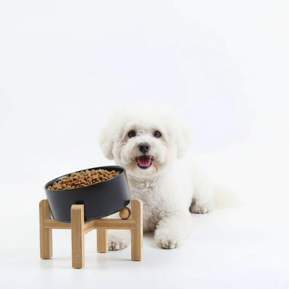 Elevated Ceramic Pet Bowl with Angled Wooden Stand