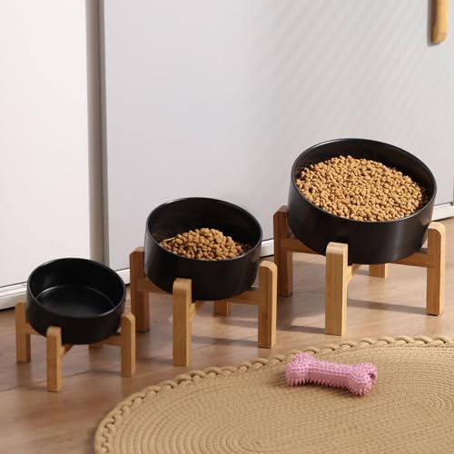 Elevated Ceramic Pet Bowl with Angled Wooden Stand