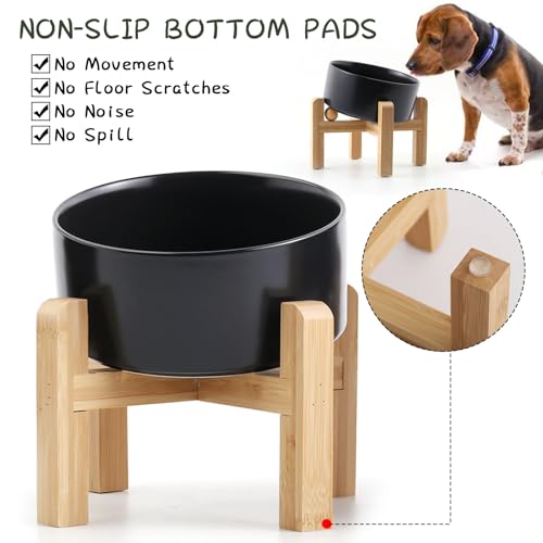 Elevated Ceramic Pet Bowl with Angled Wooden Stand