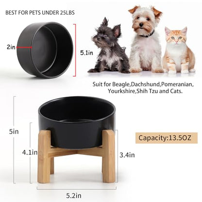 Elevated Ceramic Pet Bowl with Angled Wooden Stand