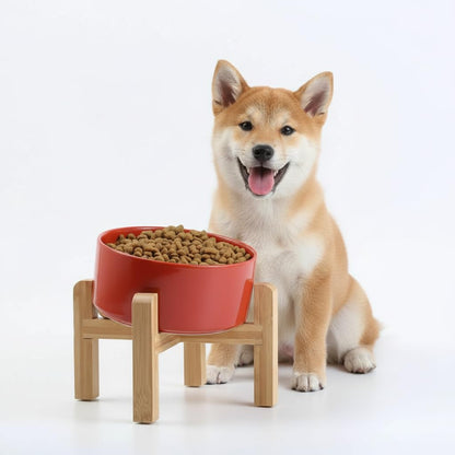 Elevated Ceramic Pet Bowl with Angled Wooden Stand