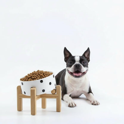 Elevated Ceramic Pet Bowl with Angled Wooden Stand