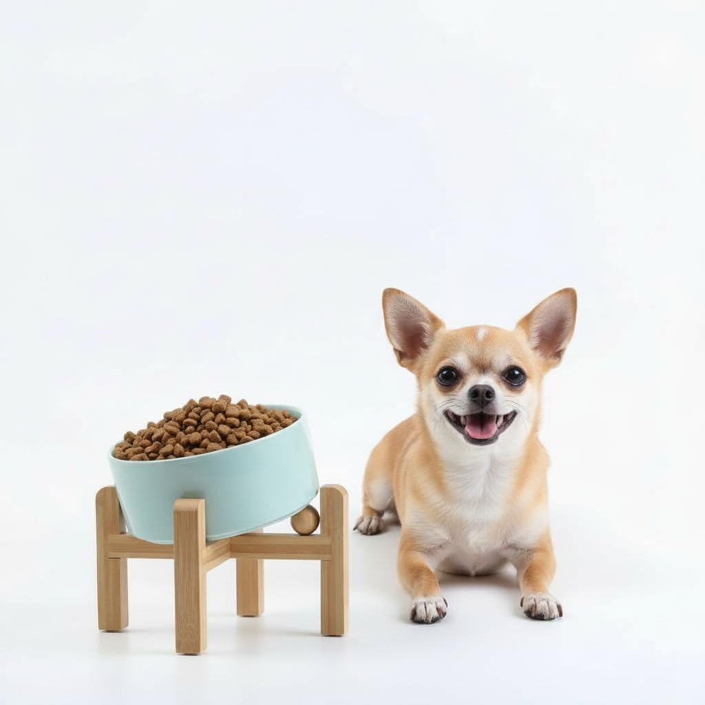 Elevated Ceramic Pet Bowl with Angled Wooden Stand