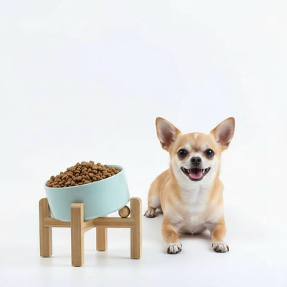 Elevated Ceramic Pet Bowl with Angled Wooden Stand