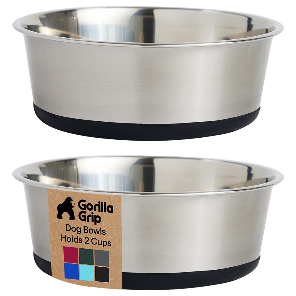 304 Stainless Steel Pet Bowls with Non-Slip Base