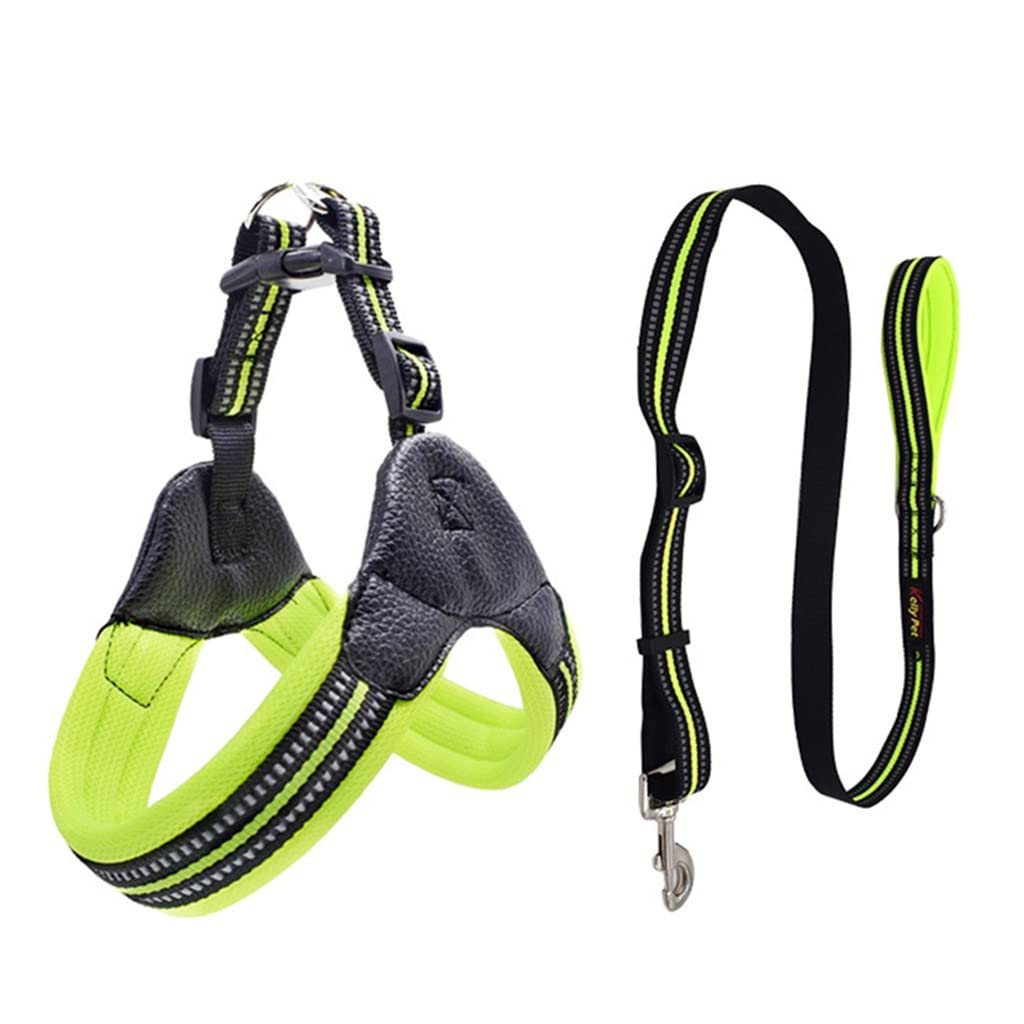Breathable Mesh Dog Harness & Leash Set