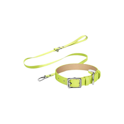 Classic Adjustable Dog & Cat Collar Leash Set
