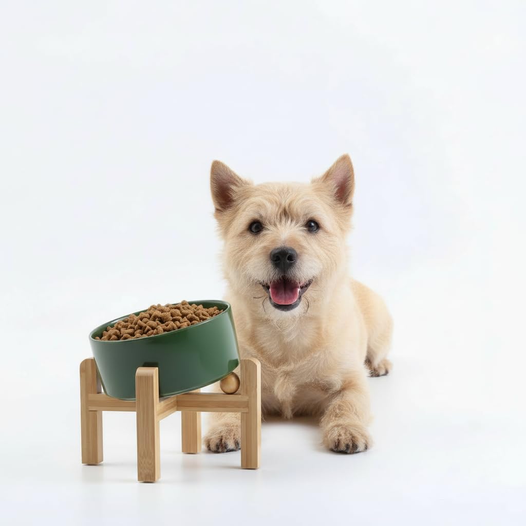 Elevated Ceramic Pet Bowl with Angled Wooden Stand
