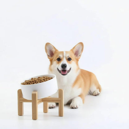 Elevated Ceramic Pet Bowl with Angled Wooden Stand