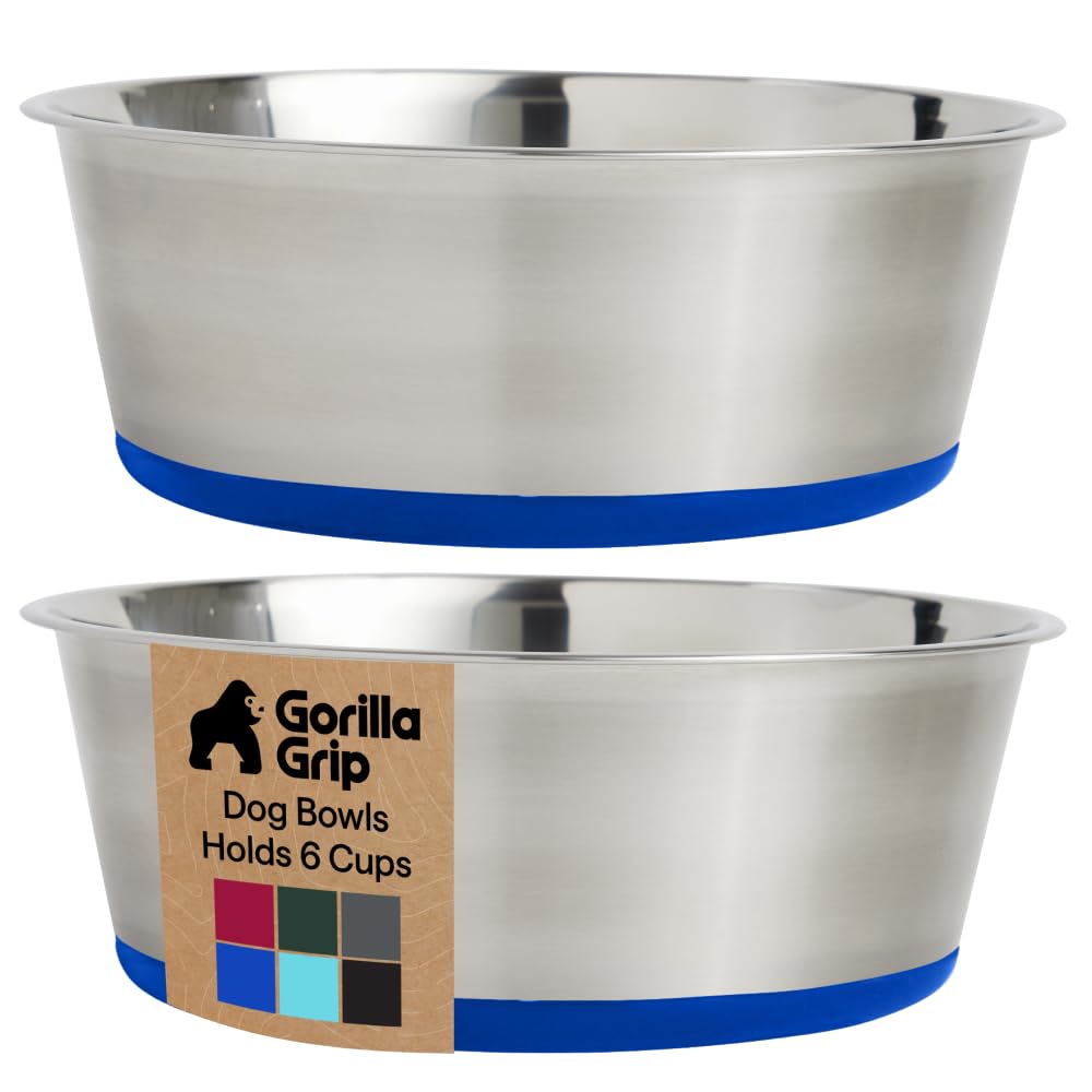 304 Stainless Steel Pet Bowls with Non-Slip Base
