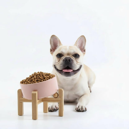 Elevated Ceramic Pet Bowl with Angled Wooden Stand