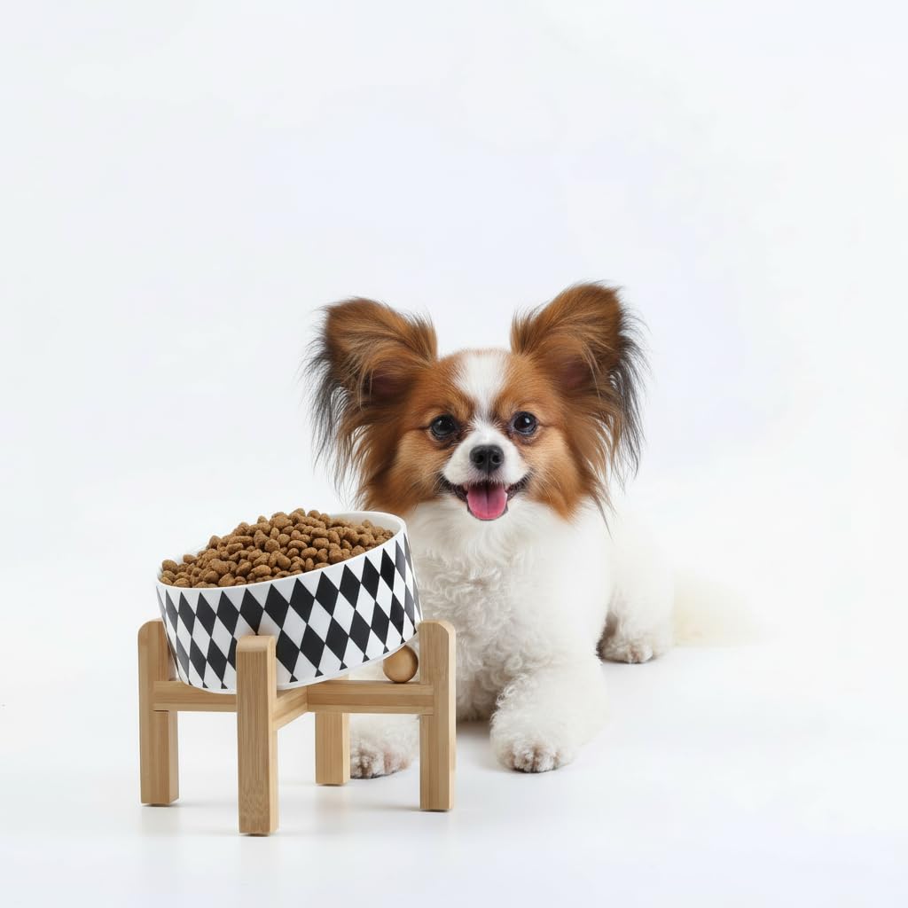 Elevated Ceramic Pet Bowl with Angled Wooden Stand