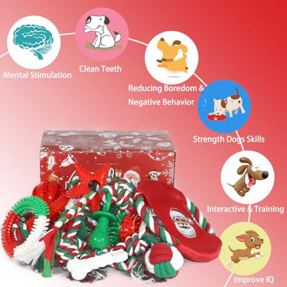 Beiker 20 Pack Dog Toys