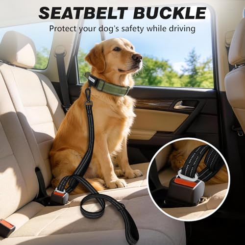 Heavy Duty Reflective Dog Leash with Dual Handles