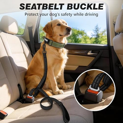 Heavy Duty Reflective Dog Leash with Dual Handles