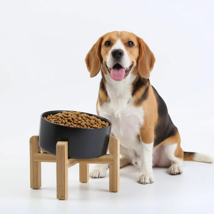 Elevated Ceramic Pet Bowl with Angled Wooden Stand
