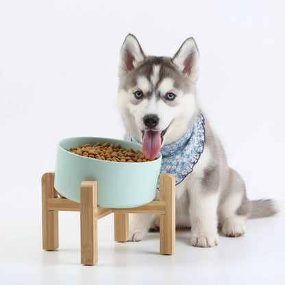 Elevated Ceramic Pet Bowl with Angled Wooden Stand