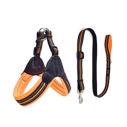 Breathable Mesh Dog Harness & Leash Set