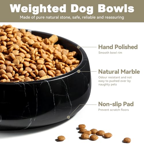 Dog Bowls, Non-Slip Dog Food Water Bowl