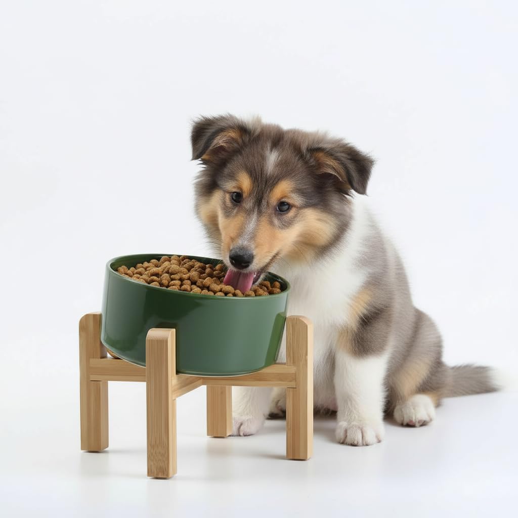 Elevated Ceramic Pet Bowl with Angled Wooden Stand