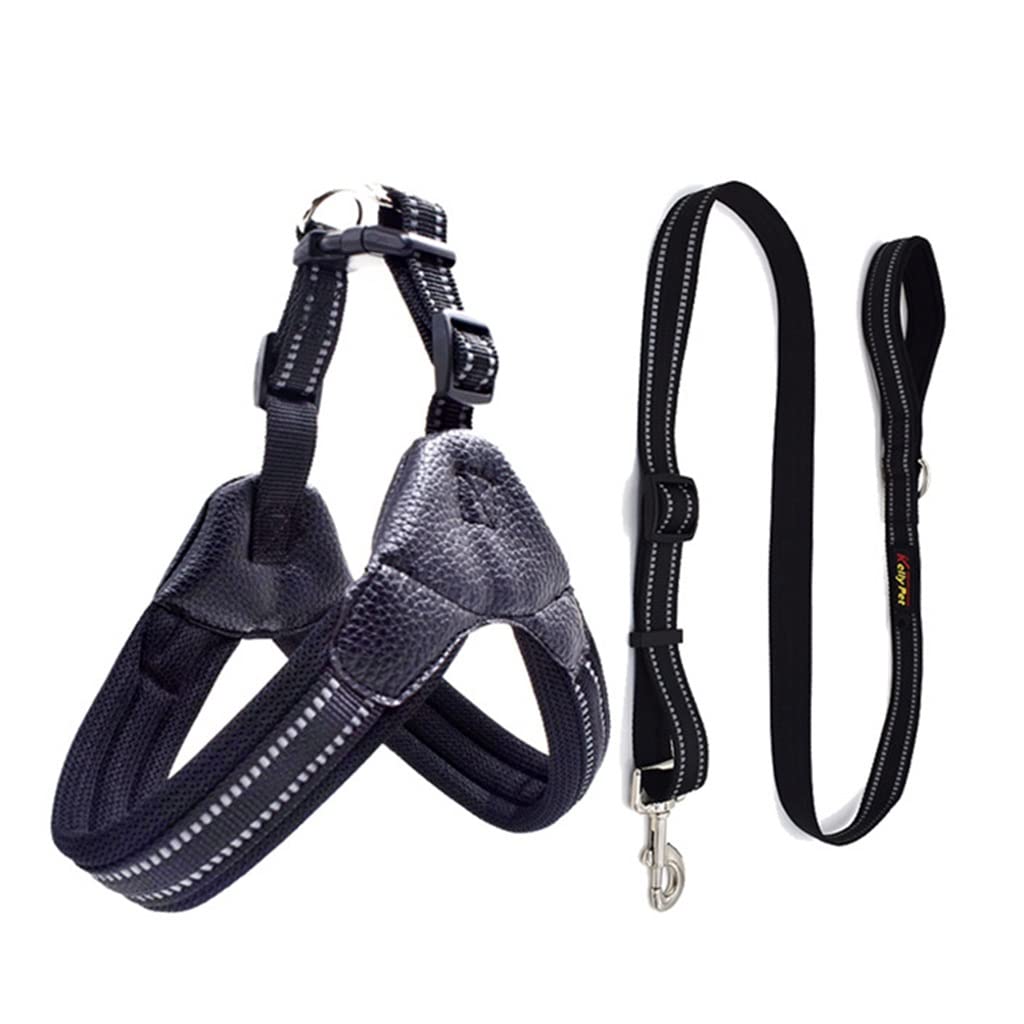Breathable Mesh Dog Harness & Leash Set