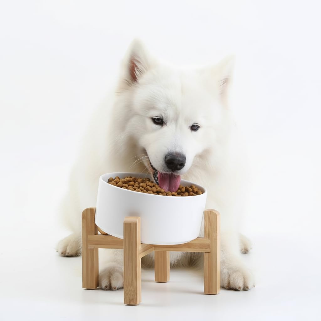Elevated Ceramic Pet Bowl with Angled Wooden Stand