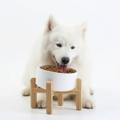 Elevated Ceramic Pet Bowl with Angled Wooden Stand