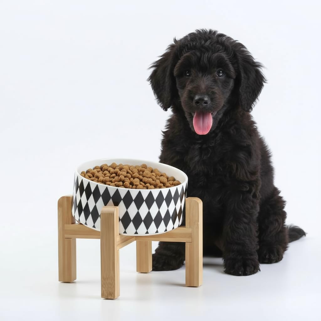 Elevated Ceramic Pet Bowl with Angled Wooden Stand