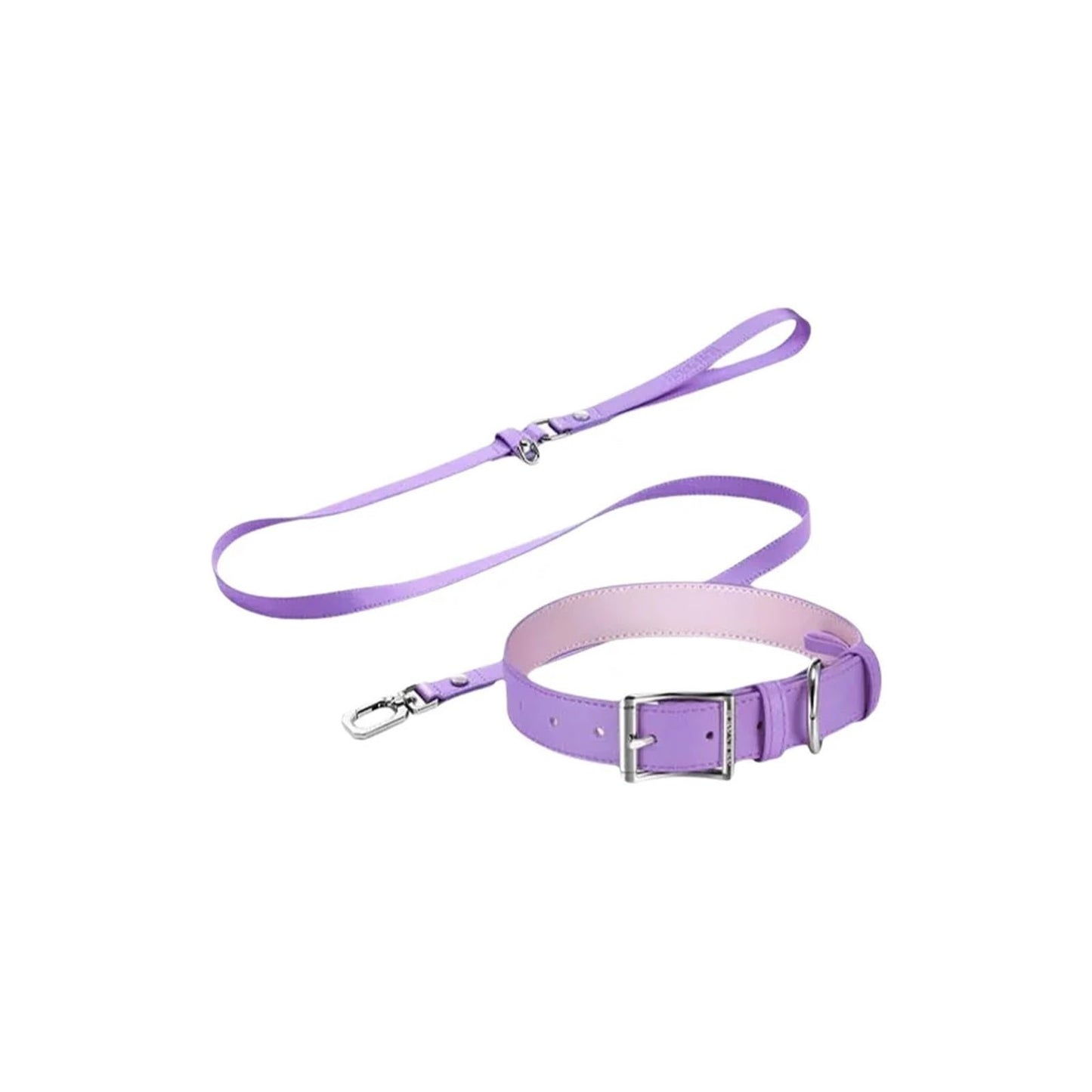 Classic Adjustable Dog & Cat Collar Leash Set
