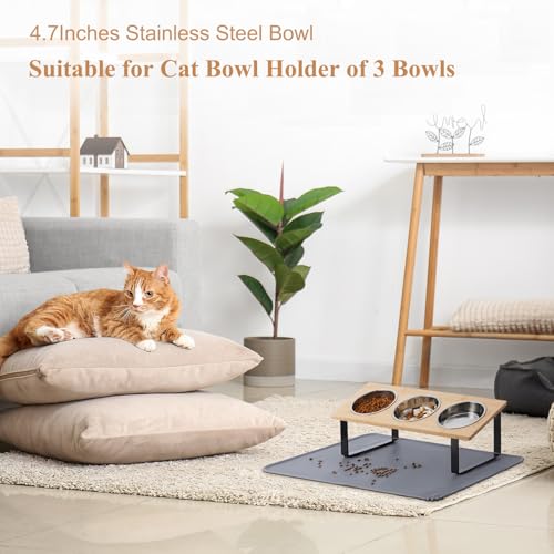 Upgraded Elevated Cat Bowls with Food Mat