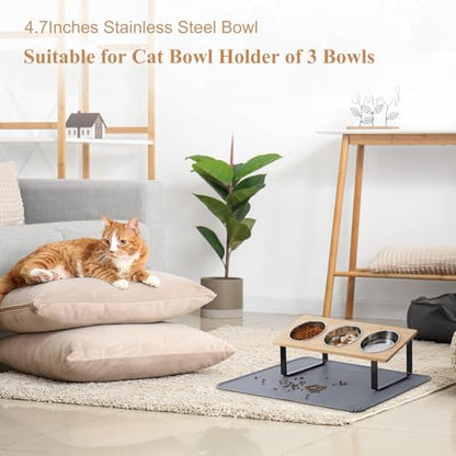 Upgraded Elevated Cat Bowls with Food Mat