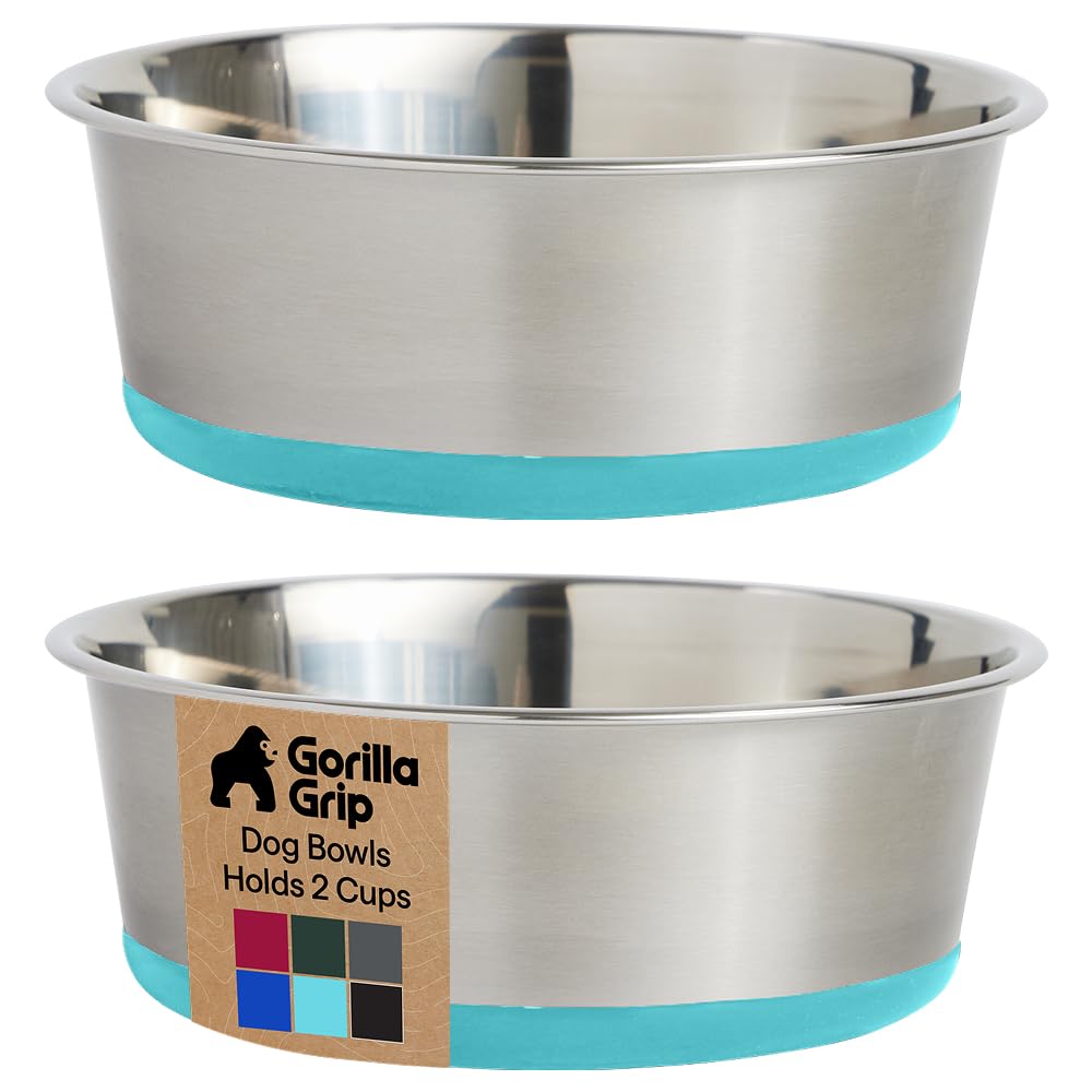 304 Stainless Steel Pet Bowls with Non-Slip Base