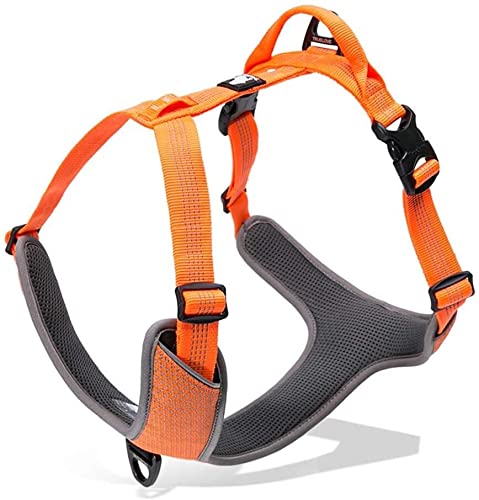 Reflective Padded Dog Harness for Walking & Hiking