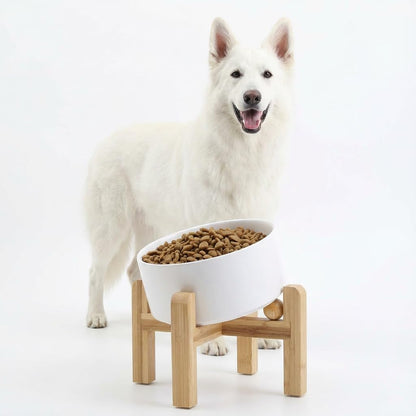 Elevated Ceramic Pet Bowl with Angled Wooden Stand