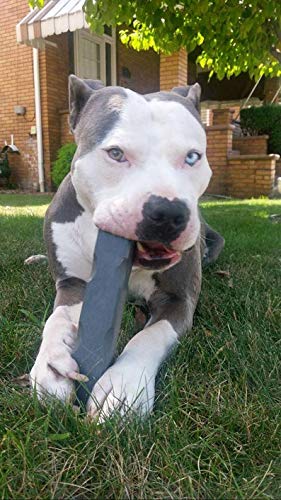 Heavy Duty Dog Chew Toy for Aggressive Chewers