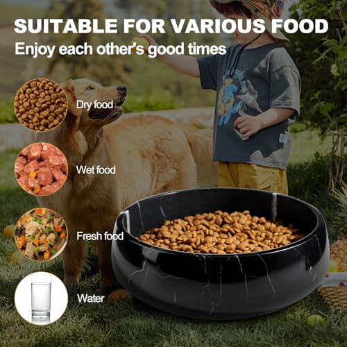 Dog Bowls, Non-Slip Dog Food Water Bowl