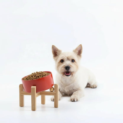 Elevated Ceramic Pet Bowl with Angled Wooden Stand