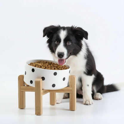 Elevated Ceramic Pet Bowl with Angled Wooden Stand
