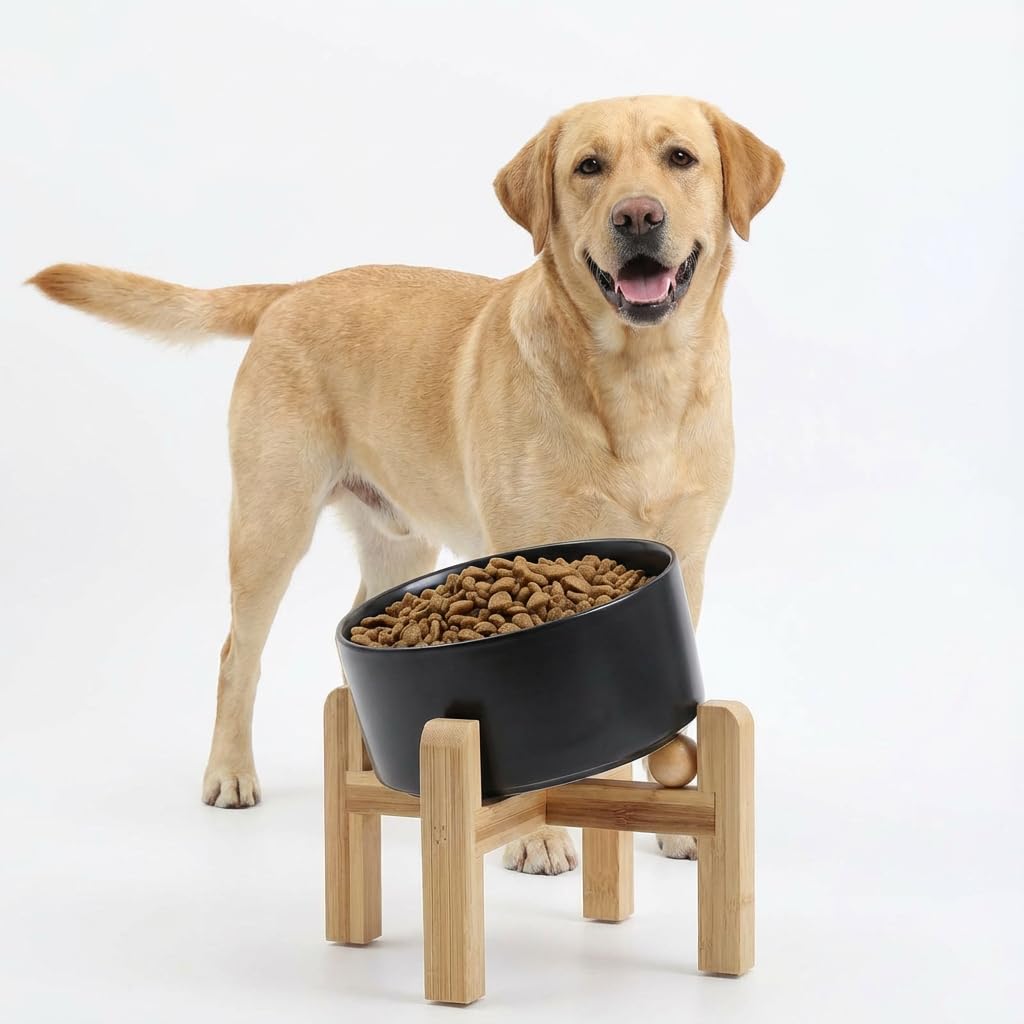Elevated Ceramic Pet Bowl with Angled Wooden Stand