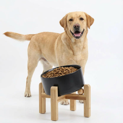 Elevated Ceramic Pet Bowl with Angled Wooden Stand