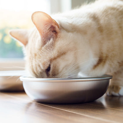 Stainless Steel Pet Bowls for Food and Water Set