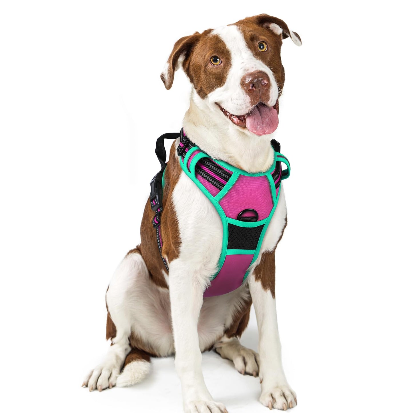 No-Pull Reflective Dog Harness with Control Handle