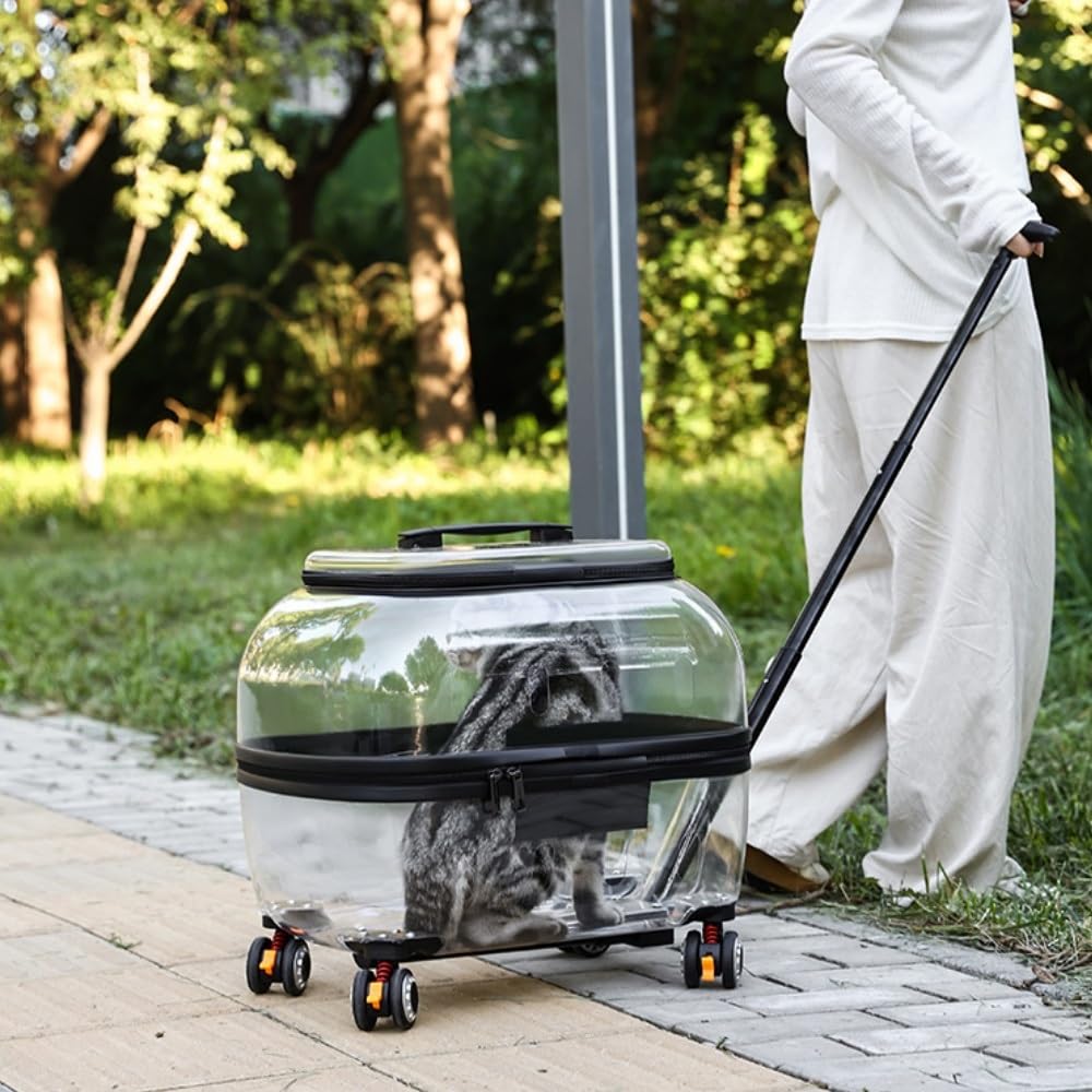 Transparent Rolling Pet Carrier for Cats & Dogs